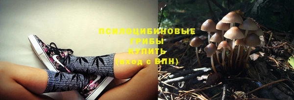 каннабис Алексеевка