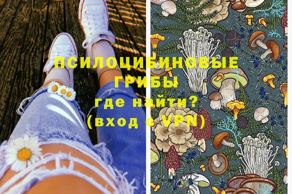твердый Алзамай